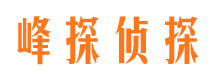 廉江峰探私家侦探公司